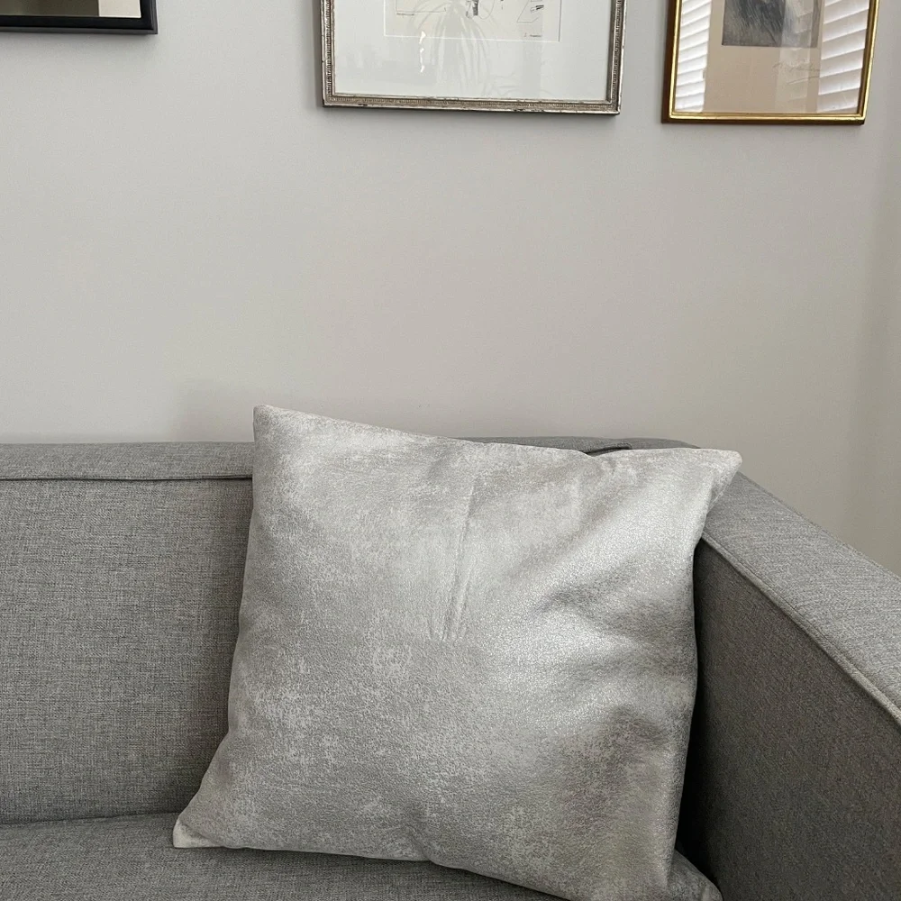 West Elm Metallic Texture Pillow Cover 20x20 (PREOWNED)